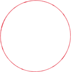 Red Circle Icon